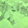 Tirzah、Coby Sey - Hive Mind