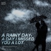 힐링 네이쳐 Nature Sound Band - 밤에 내리는 잔잔한 빗소리 The gentle sound of rain falling at night