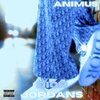 Animus - Dior Or Jordans (Explicit)