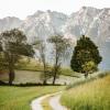 Music to Relax in Free Time、Easy Sleep Music、White Noise For Babies - Soothing Sunbeam