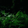 instrumental、Happy Baby Lullaby Collection、Egyptian Meditation Temple - Breath of Eons