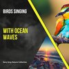 Gary Grey Nature Collective - Ambient Ocean