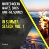Huang Fu - Colorful Nature Sound