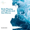 Marcello Schmit - Tropical Sea Waves