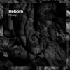 MeeZy - Reborn (Explicit)