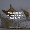 Jazz Music for Cats、Cat Music、Music For Cats Peace - A Time for Relaxation
