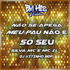 DJ VITINHO BDP、Silva MC、MC ZL - Não Se Apega Meu Pau Não É Só Seu (Explicit)