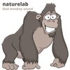 Naturelab - Gorilla Sounds