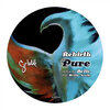 Bollo、Re.birth - PURE (Bollo Remix feat. Hollie Noelle)
