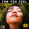Zilli - Can You Feel (RadioMix)