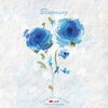 李彬旭 - Blueming