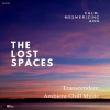 Chill Carrier - Lost And Found