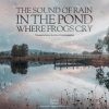 힐링 네이쳐 Nature Sound Band - 개구리가 우는 연못에 내리는 빗소리 The sound of rain in the pond where frogs cry