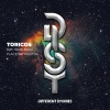 Toricos、Soully Space - Place Without Us