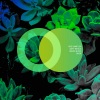 Deft Whale - Hot Leads (Original Mix)