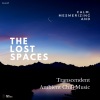 Leran Wang - Inspiring Relaxing Uplifting Transcendent