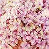 Soothing White Noise for Relaxation - Soft Humming Noise for Relaxation