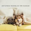 Hundmusik oas - Hundavkoppling