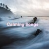 Calming Songs、Relaxation Songs、Meditation Songs - Lost in Memory