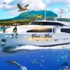 Rozay - Nevis Nice