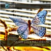 SALAZAR (COL)、Pablo Arbelaez、Ias Ferndale - Resilience (Ias Ferndale Remix)