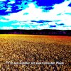 Sven & Olav - Sommer in Berlin (Summer Club Mix)