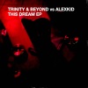 Trinity & Beyond、Alexkid《This Dream (Original Mix)》[MP3/LRC]