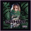 Andrea Cavarretta、Diana.mtv - CHIMICA (feat. Andrea Cavarretta)(Explicit)