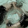 The Hawks、The Found - A Sinking Feeling (Explicit)