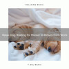 Music for Dog's Ears、Sleeping Music For Dogs - Peaceful Dreams of Playing while Missing on a Couch
