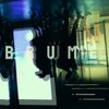 Taras Bazeev - Brume