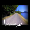 Brad Majors、Robert Brooks - Flight of the Seagull