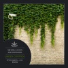 Michael & Levan、Stiven Rivic - Under Control