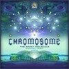 Chromosome - The Spirit Molecule (Audiodact Remix)