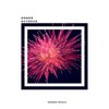 Odner - Octopus