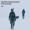 Relaxing Noises、Relaxing Zen Music Therapy、Relaxing Nature Sounds Collection - Frozen Rain