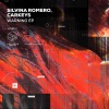 Silvina Romero、Carkeys - Warning (Original Mix)