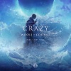 Wooli、Codeko、Casey Cook《Crazy (feat. Casey Cook)》[MP3/LRC]