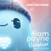 Liam Payne《Sunshine (From the Motion Picture “Ron’s Gone Wrong” / Billen Ted Remix)》[MP3/LRC]