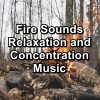 Yoga Master、Yoga Shala、Yoga & Meditation《Fire Relaxation For a Good Nap For Adults and Babies》[MP3/LRC]