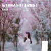DJ尼保 - 远飞的你 (remix: 尼块)