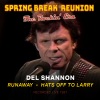 Del Shannon《Runaway (Live 1987 from Spring Break Reunion)》[MP3/LRC]