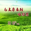 何鹏、孙焱 - 来到咱舒茶