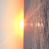 Adrian Clarke、lil rick、Indrani - NUTTIN SWEETA DAN DIS (feat. LIL RICK & INDRANI)