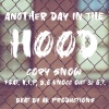 Eazy-E、Tha G.T.、V.I.P.、Scopis《Another day in the hood (feat. V.I.P. B.g. Knocc Out & Tha G.T.)(Explicit)》[MP3/LRC]