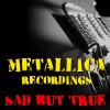 Metallica《Sad But True (Live)》[MP3/LRC]