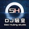 李琼 - 山路十八弯 (DJ 小鑫、DJ叀刈、DJ小鑫版)