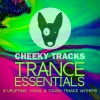 Dave Yarrow - Searching For The Meaning (Radio Edit)
