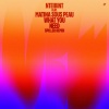 NTEIBINT、spiller、Matina Sous Peau - What You Need (Spiller Remix)