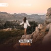 Alleviate、Dirty Workz - Anywhere